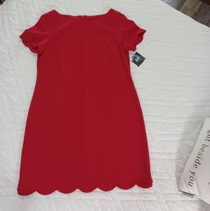 AK Anne Klein Red Dress with Detailed Scalloped Hemline and Sleeve